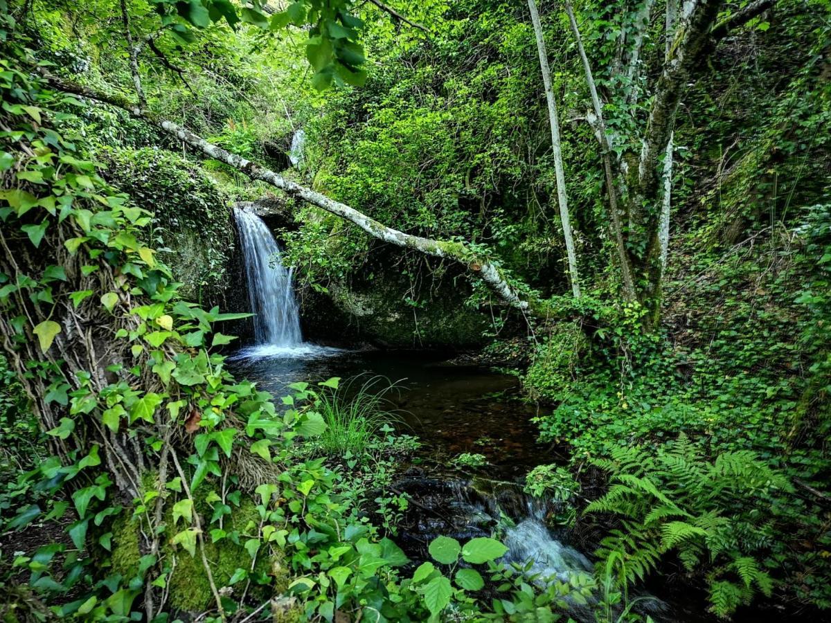 Вілла Monte Das Cascatas Марван Екстер'єр фото