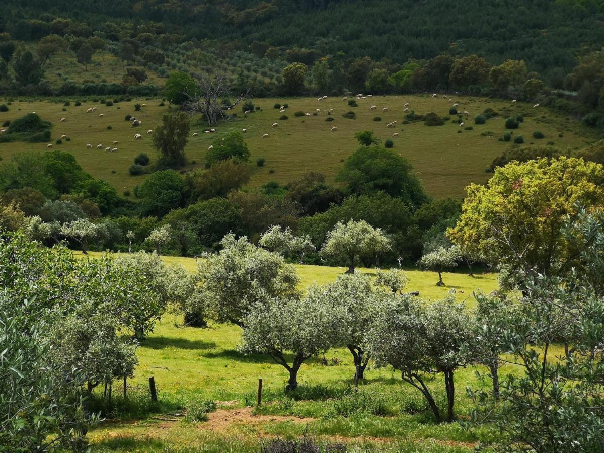 Вілла Monte Das Cascatas Марван Екстер'єр фото