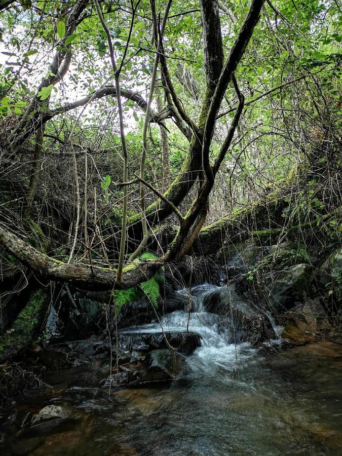 Вілла Monte Das Cascatas Марван Екстер'єр фото